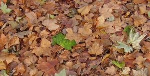 October Events in Wisconsin Dells